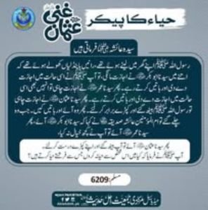 Gallery image 33