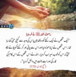 Gallery image 34