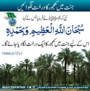 Gallery image 21