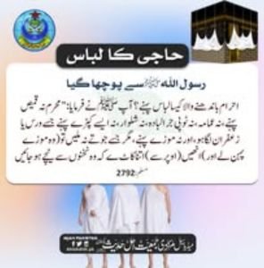 Gallery image 47