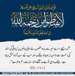 Gallery image 23