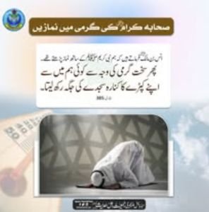 Gallery image 26